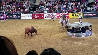 PBR - Professional Bull Riders 2018, Bangor ME (roping a bull)