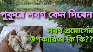 Functions of Sald(NaCI)।।পুকুরে লবণ প্রয়োগ।। পুকুরে নিয়মিত লবণ প্রয়োগের উপকারিতা।।লবনের কাজ।