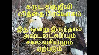 கருட சஞ்ஜீவினி வசிய வி்த்தை || கருட சஞ்சீவி வேர் வசியம் ||   garuda sanjeevani root in tamil ||