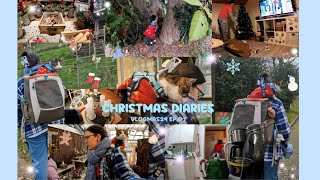 Christmas Diaries🎄Vlogmas24 Ep.01✨️Mit meinem Kater🐈‍⬛[Schweizerdeutsch🇨🇭]