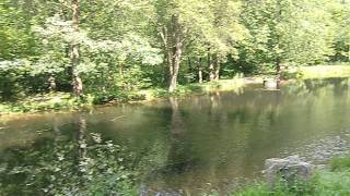 Lakehouse with waterwheel, and small pond in Germany. Very nice scenery, near Talsperre Nonnweiler.