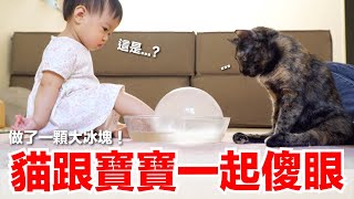 【好味小姐】貓跟寶寶一起傻眼！做了一顆大冰塊 ｜好味貓日常EP116