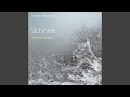 Schnee: Canon 2a (Live)