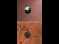 Perseverance Rover Landing - Real Footage vs Animation #shorts