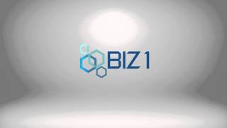 BIZ 1 Intro