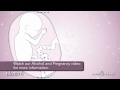 How Your Baby Grows Month 4 How Your Baby Grows Month 4
