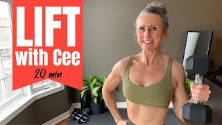 20min FULL BODY DUMBBELL workout at home standing no jumping FB23