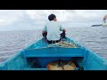 Trip Mancing d Pulau Kisar Maluku