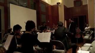 YOUTH CHAMBER ORCHESTRA TURKISH EMBASSSY CONCERT