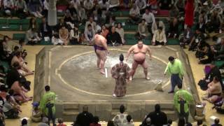 土俵を回って回って逃げまくる！/千代丸-大奄美/2017.5.24(41)/chiyomaru-daiamami/day11 #sumo