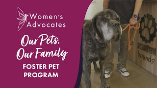 Our Pets, Our Family: Women's Advocates' Foster Pet Program