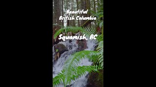 Most Beautiful Places in BC✨best places to visit #shorts #viral