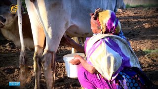 ಖರೇಯ್ಯಿ ದಿಲ್ಬಟಾನ್ ನು ಈಗಾ!