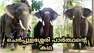 ചെർപ്പുളശ്ശേരി പാർത്ഥൻ STORY, CHERPULASSERY PARTHAN STORY,KERALA ELEPHANT STORY, KERALA ELEPHANT