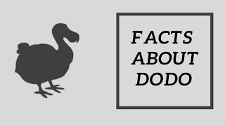 ডোডো কেন বিলুপ্ত হয়ে গেল?? Why Dodo become extinct ?? By A1fact bangla..