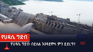 የህዳሴ ግድቡ በደለል እንዳይሞላ ምን ይደረግ? Etv | Ethiopia | News