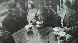 WANG Hua-de - Shu (Sichuan) Qin Music. Tea Ceremony Music, Chinese Traditional, Tai Chi, Guqin