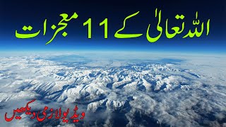 Allah Ki Qudrat | Allah Ka Mojza | Miracle of Allah  #Islam  #Allah Urdu Hadees World #islamicvideo