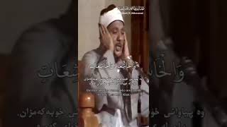 عندما نسي الشيخ عبد الباسط أن يتنفس