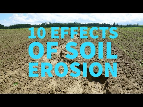 What are the consequences of soil erosion?