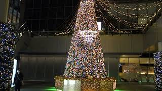 《名駅》　名駅のクリスマスツリー・イルミネーション2022