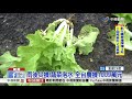 雨後災損 蔬菜泡水 全台農損1009萬元│中視新聞 20180621