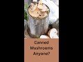 Canned Mushrooms: The Creepy Truth!