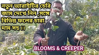 নতুন ভ্যারাইটির চেরি জাম দেখে নিন ,সঙ্গে বিভিন্ন ফলের চারা দাম সহ ।।#gardencenter