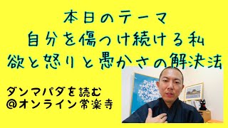 自分を傷つけ続ける私、欲と怒りと愚かさの解決法【ダンマパダを読もう１３１】