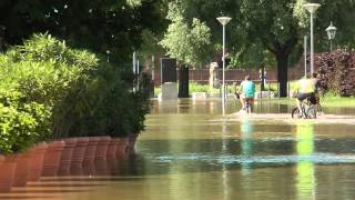 Hochwasser am Mainz-Kasteler Rheinufer, Juni 2013