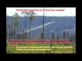 how herbicides damage forests