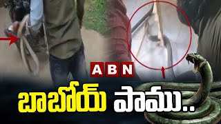 బాబోయ్  పాము.. : Snake Hulchul In Rayadurgam Meeseva | ABN Digital Exclusives