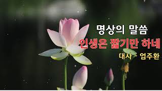 인생은 짧기만 하네 🙏  명상의 말씀