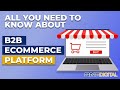 What is B2B eCommerce Platform/Customer Portal?