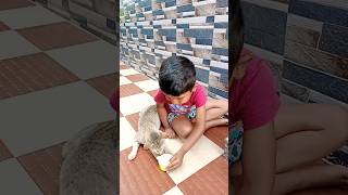 నీ పిల్లి 😺 బాదం పాలు 🥛 తాగుతుందా నాన్న 😋🤤 #trending #viral #cat #pets #shorts