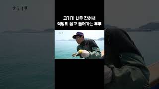 딱 필요한만큼만 잡고 욕심 없이 떠나는 부부 #골라듄다큐 #shorts