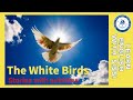 Learn English Through Story ★ Subtitles: The White Birds. #learnenglishthroughstory #audio