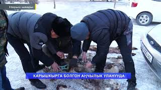 НТК: КАРЫШКЫРГА БОЛГОН АҢЧЫЛЫК УЛАНУУДА