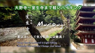 大野寺〜室生寺まで軽いハイキング