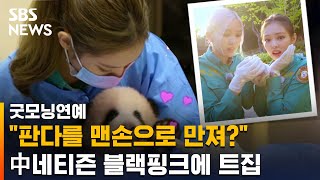 중국 네티즌, 맨손으로 판다 만졌다며 블랙핑크 비난나서 / SBS / 굿모닝연예