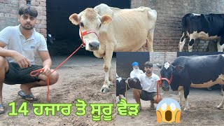 18 june 2025 ਫੋਨ 7508511814 👈 ਵੀਰ ਕੋਲ ਬਹੁਤ ਸ਼ਾਨਦਾਰ ਵੈੜਾ 🥰 🥰 🥰 🤩 🤩 🤩