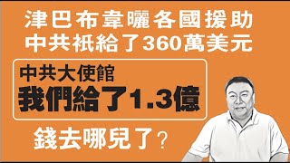 津巴布韦嗮各国援助，中国只给了360万美元。大使馆说我们给了1.3亿美元，钱去哪儿了？2019.11.22NO028