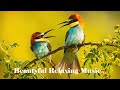 Beautiful Relaxing Music 365 Day - Relaxing Music Piano ,Morning Music, Study Music , Study