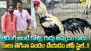 Pandem Kollu | బ్రీడింగ్ అంటే కోళ్లు, గుడ్లు అమ్మడం కాదు..! కాలు తెగినా పందెం చేయడం... Tone Agri