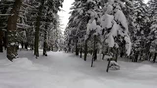 Schneeschuhwandern in der schönen Steiermark