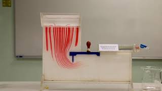 Groundwater Flow Paths Under a Dam