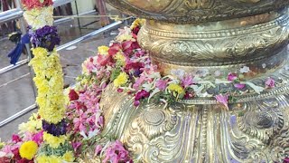 Ammapet Senguthar Mariamman Kovil Aadi Fetivel