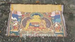 Tibetan Song - Shide Lhacha Karpo - 白色的和平鸽