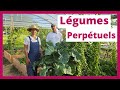 Les légumes perpétuels cultivés dans le Jardin-Forêt du Chambon