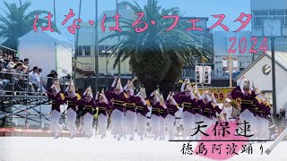 はな・はる・フェスタ2024 徳島阿波踊り　天保連